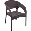 Fine-Line Panama Resin Wickerlook Dining Arm Chair  Brown, 2PK FI213993